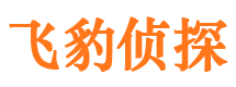 礼泉市调查公司